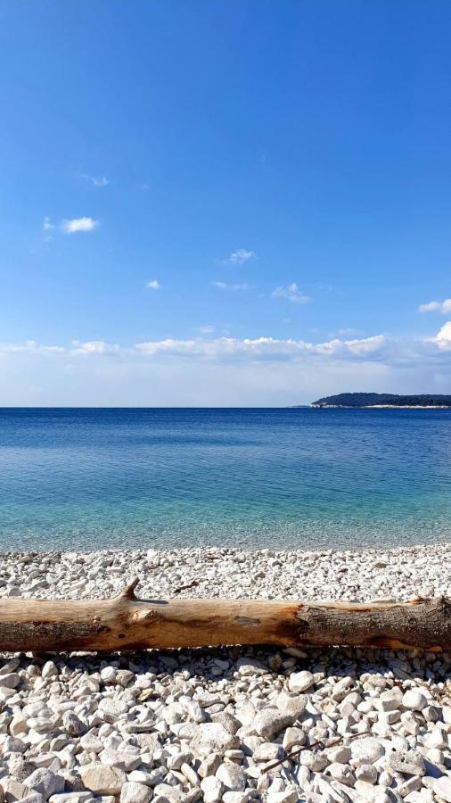 Calm Sea View Daire Banjole Dış mekan fotoğraf