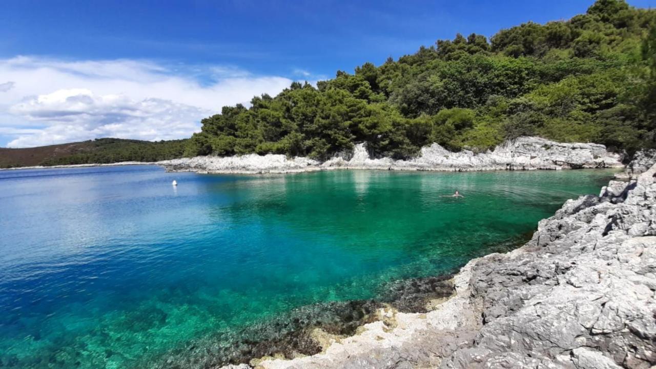 Calm Sea View Daire Banjole Dış mekan fotoğraf