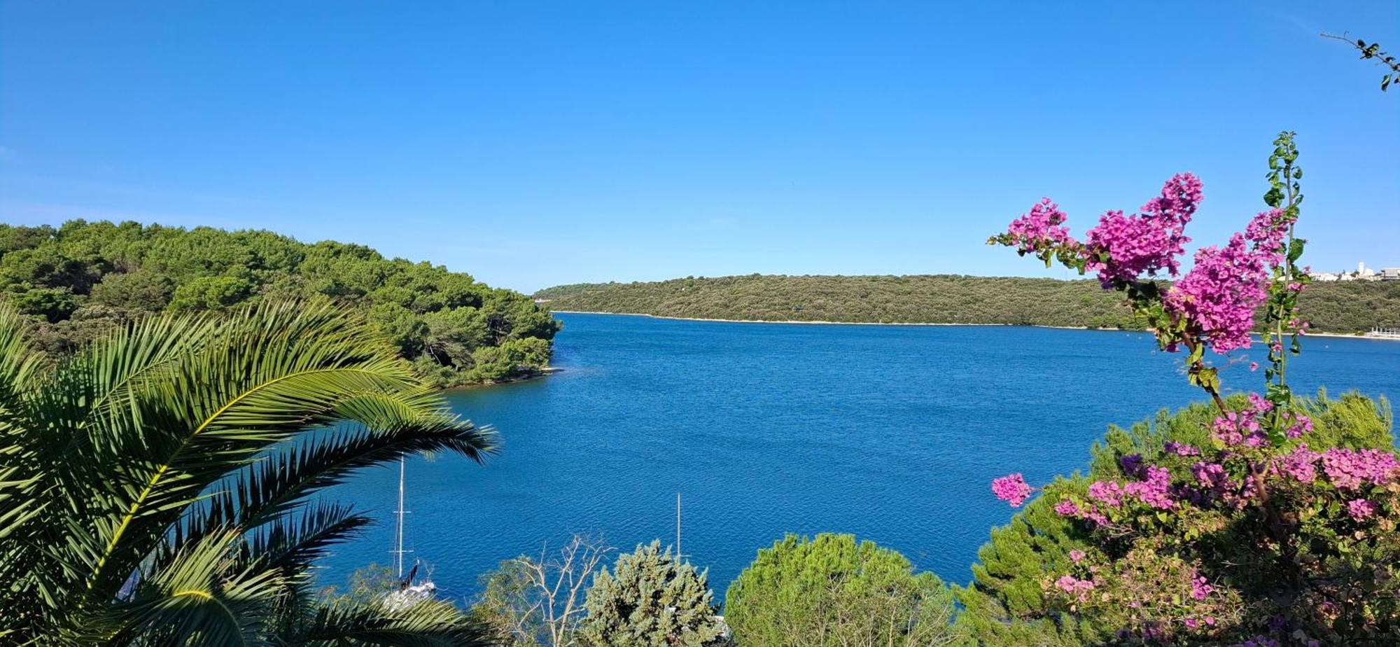 Calm Sea View Daire Banjole Dış mekan fotoğraf
